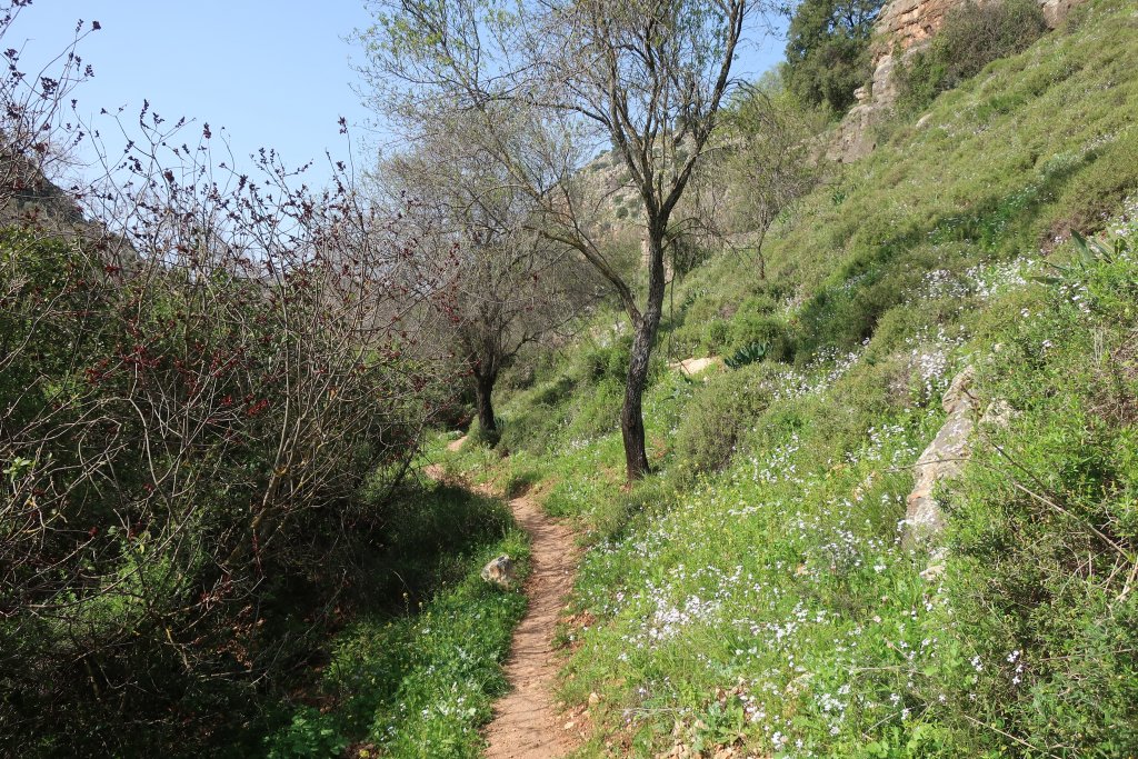 HIking in Nahal Amud