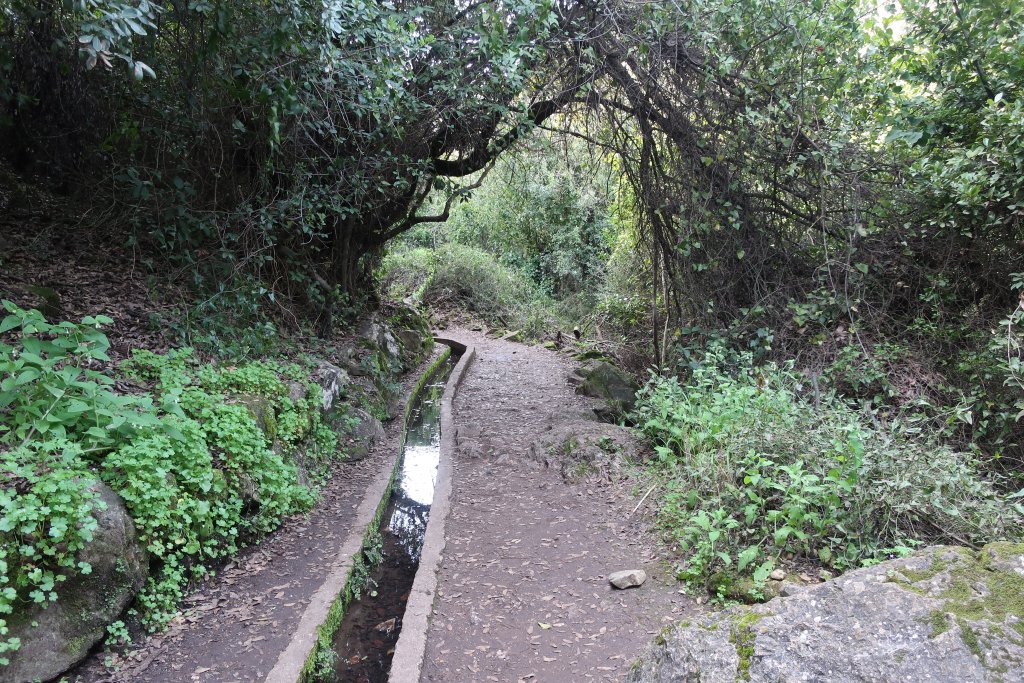 HIking in Nahal Amud