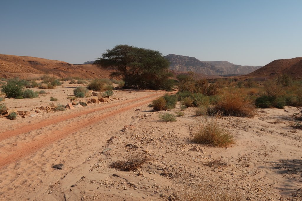 Hiking in the Ramon Crater