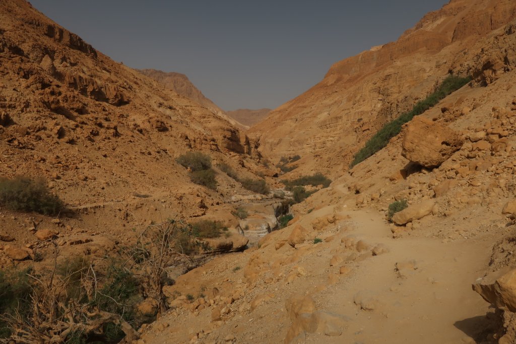 Hiking up Wadi Arugot