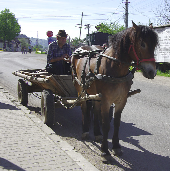 Horse and cart