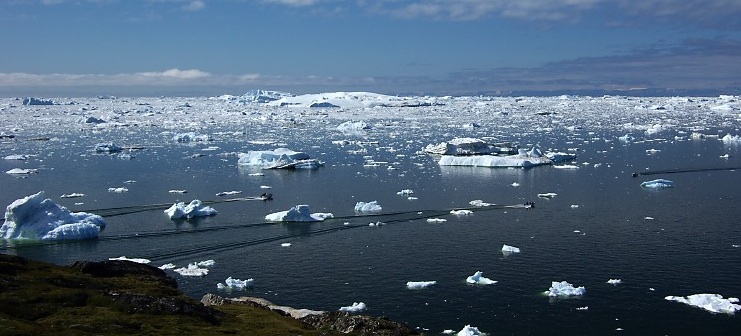 Icebergs In Disco Bay