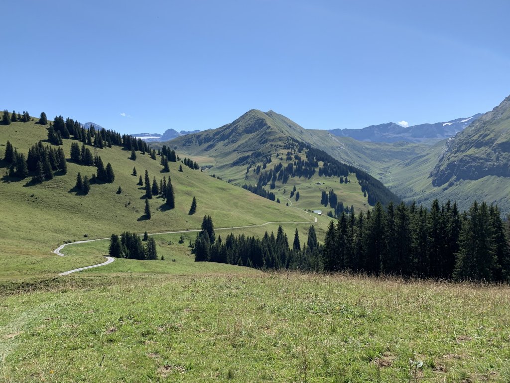 In the mountains above Lenk