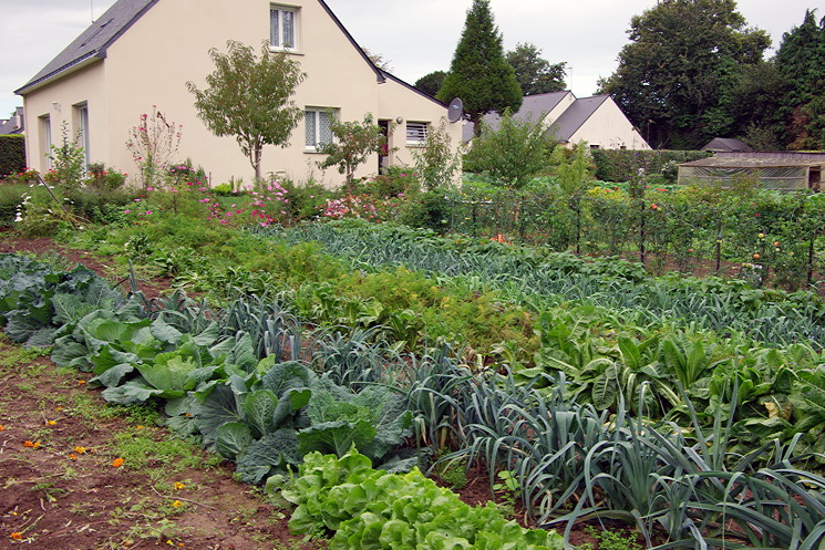 La Vraie Croix, vegetable garden