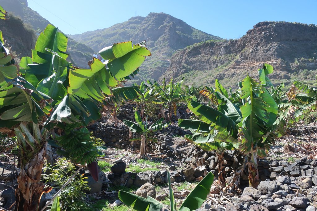 Las Aguas Coastal Path