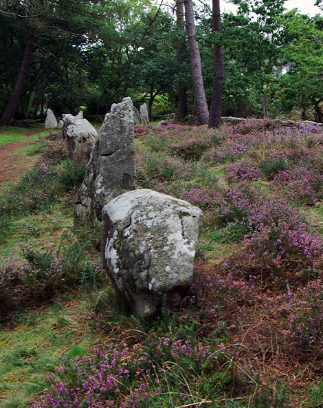 Le Petit-Ménec alignments, Carnac