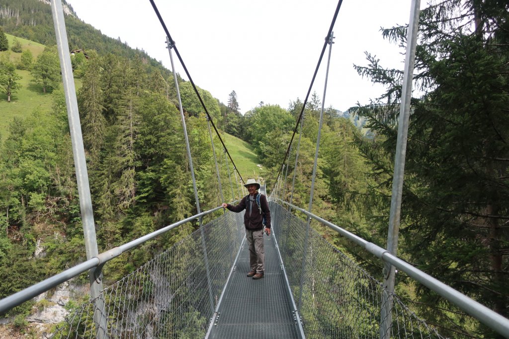 Leiternweide Suspension Bridge