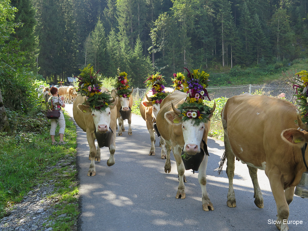 Lenk Cow Parade 2014