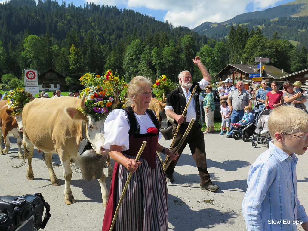 Lenk Cow Parade 2014