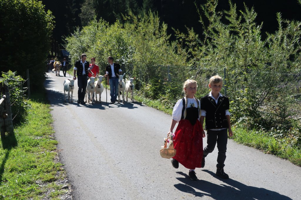 Lenk Cow Parade 2018