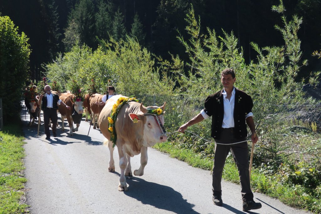 Lenk Cow Parade 2018