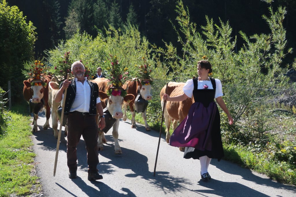 Lenk Cow Parade 2018