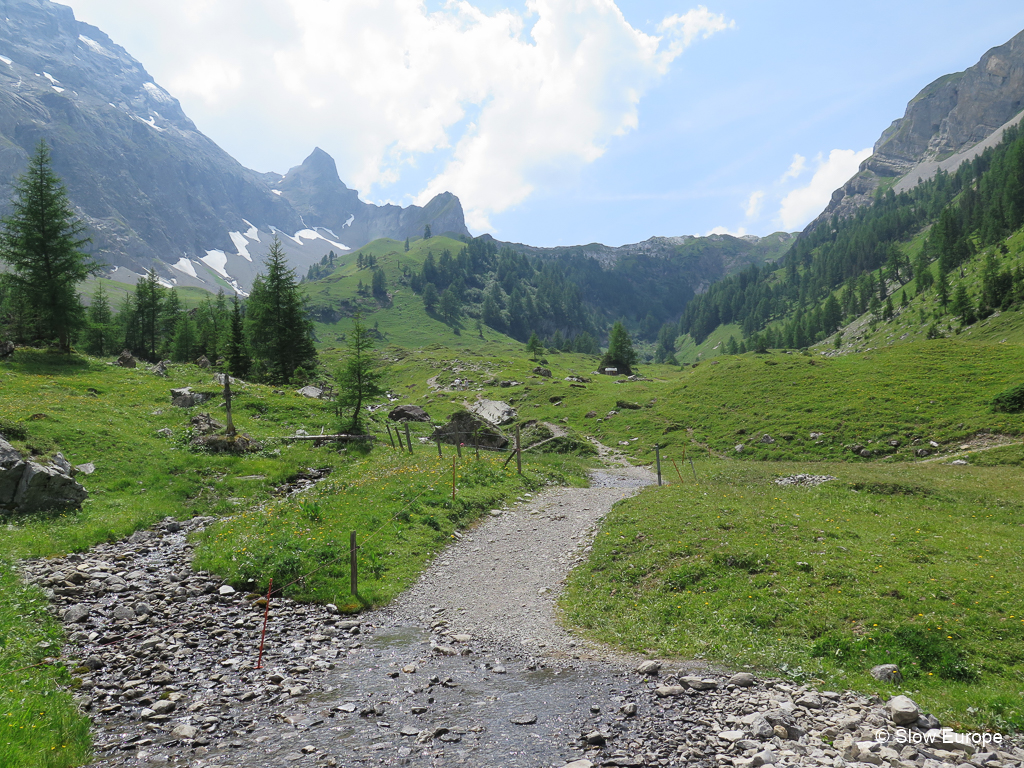 Lenk Hiking