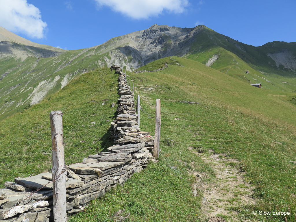 Lenk Hiking