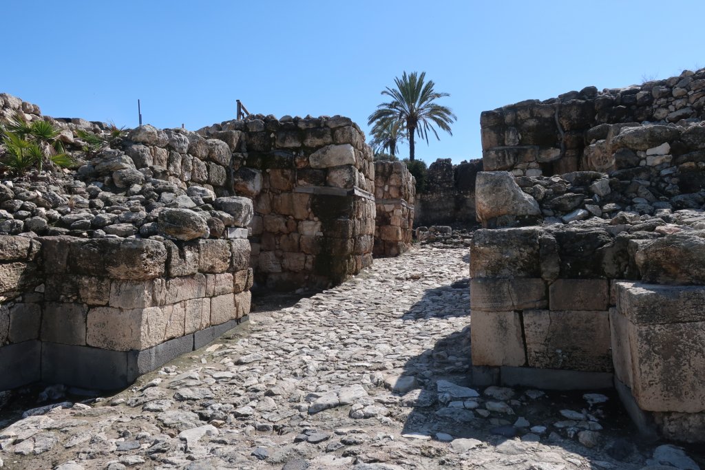 Megiddo National Park