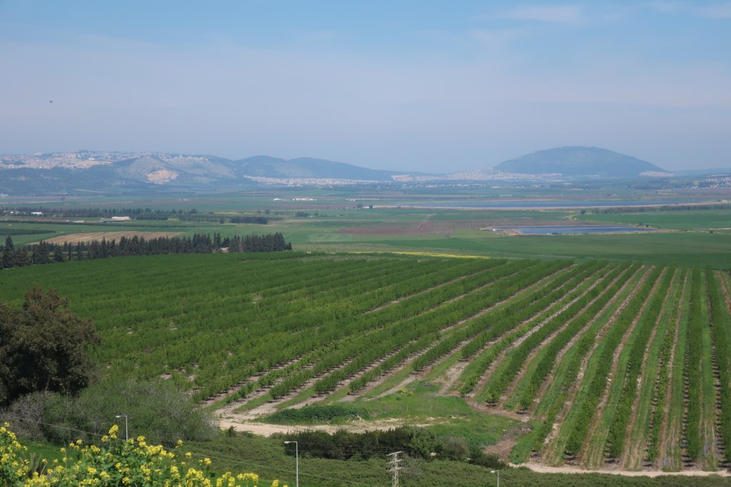 Megiddo National Park