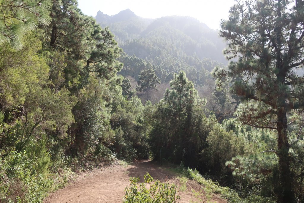 Orotava Valley Hike