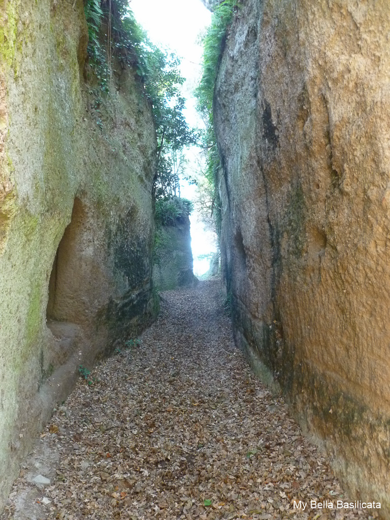 Pitigliano Etruscan Pathways