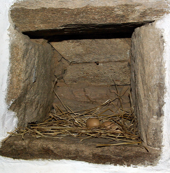 Poul Fetan nest box