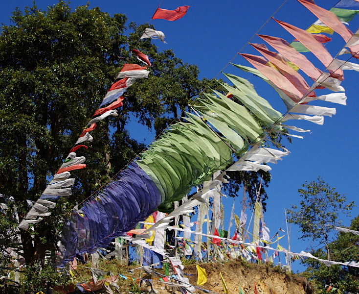 Prayer flags at Korila Pass, Bhutan