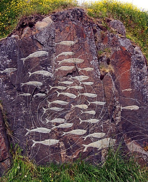 Qaqortoq Rock Carvings