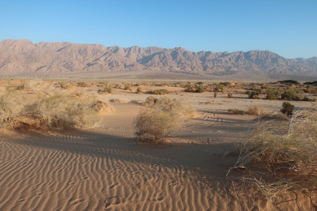 Sand Dunes