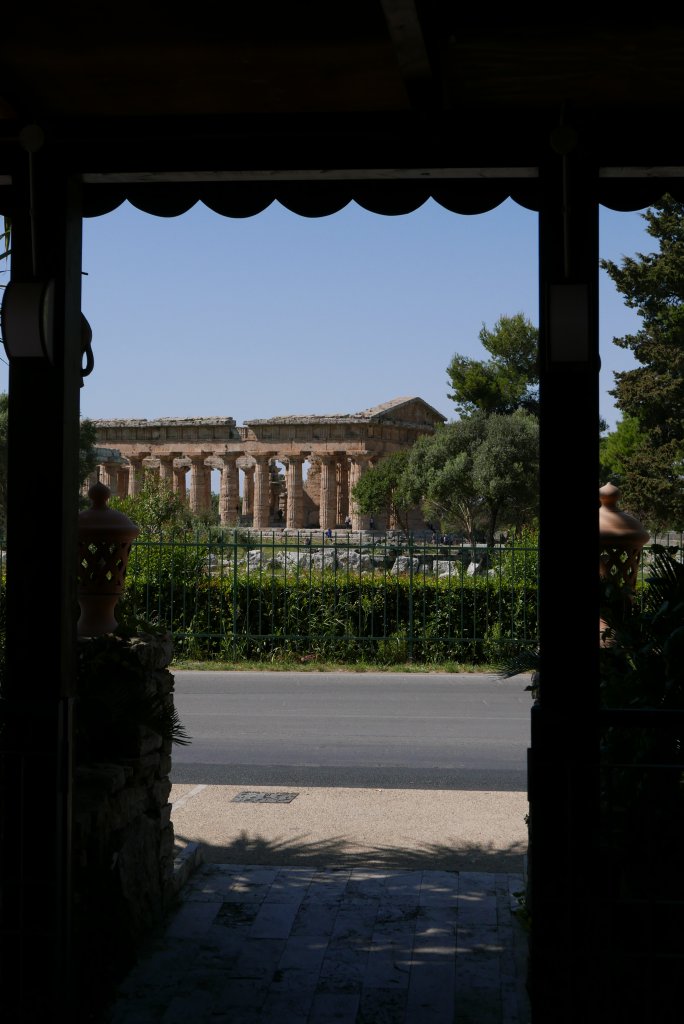 Seen from a restaurant across the street from the archeological site you can see the atemple of Hera