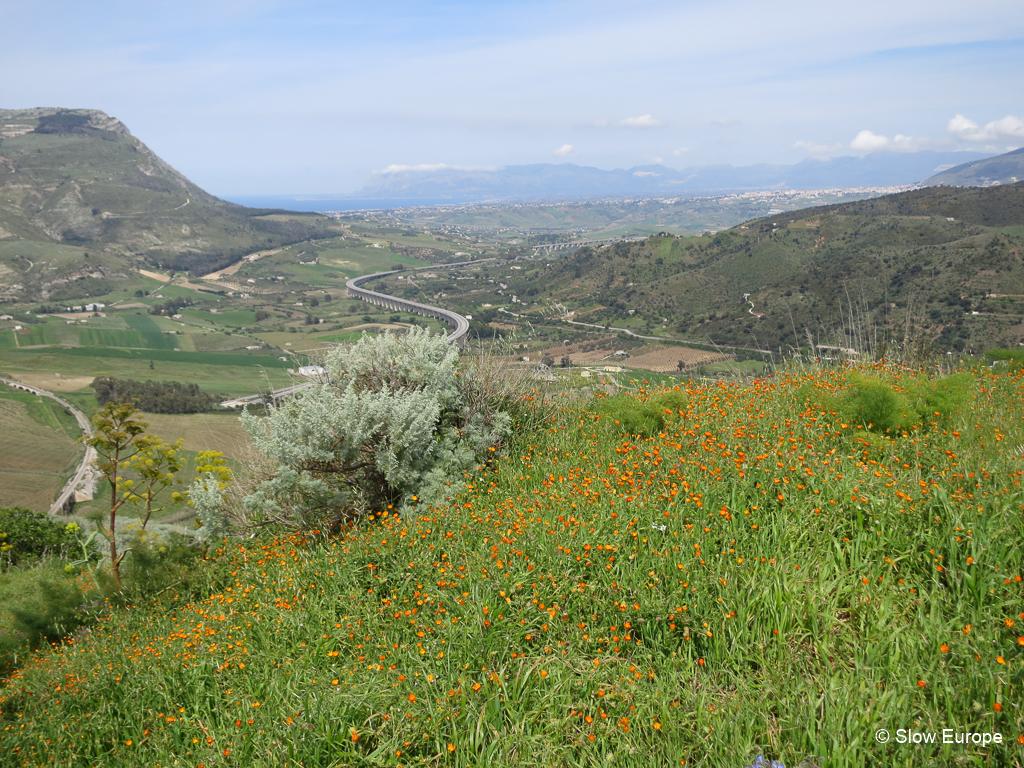 Segesta