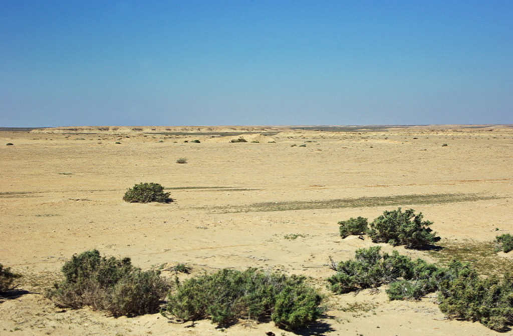 Stony desert between Tamerza and Tozeur