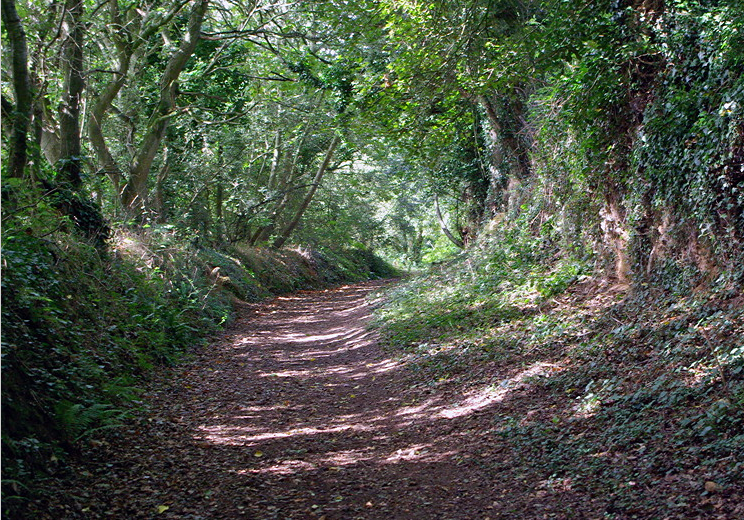 Sunken lane to Pont du Diable