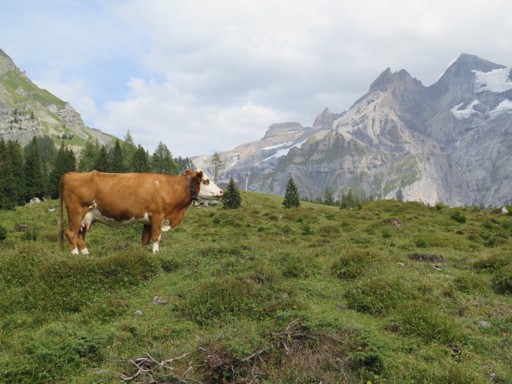 Swiss Alps - Kandersteg