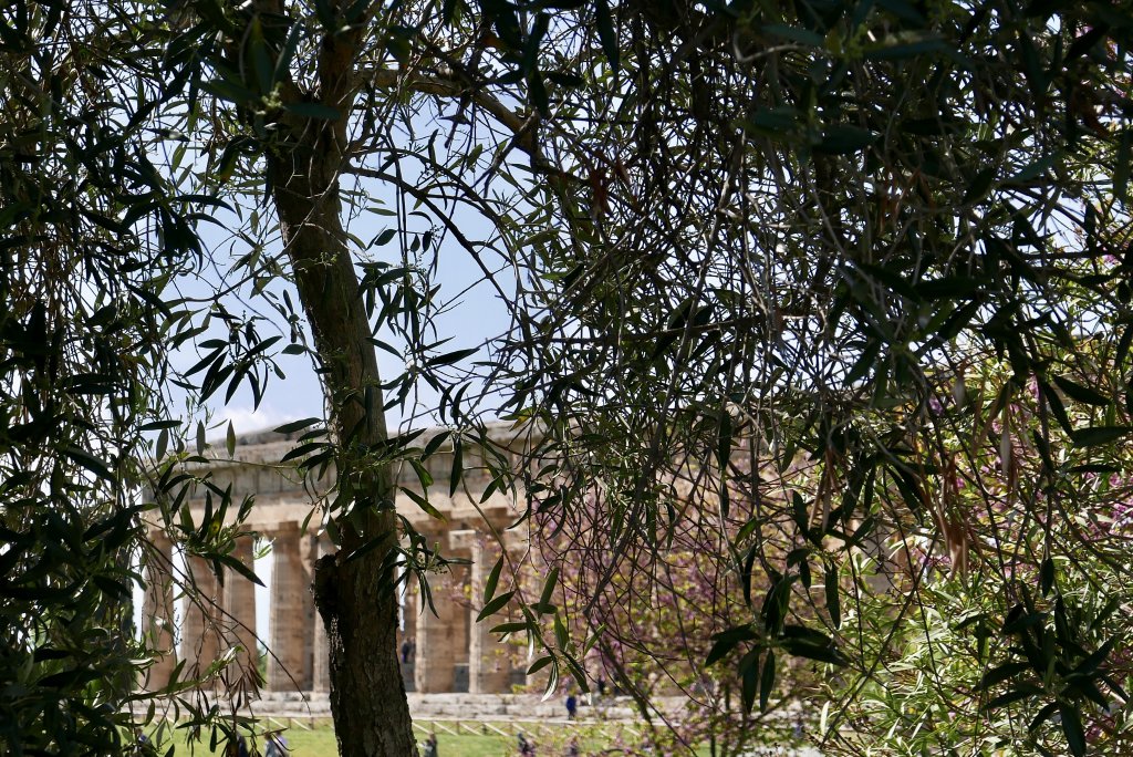 Temple of Hera in Spring