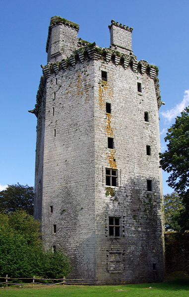 The Fortress of Largoët, donjon