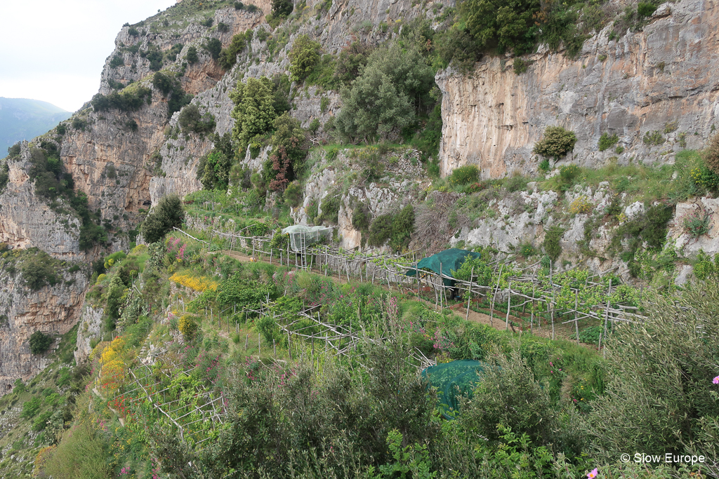 The Path of the Gods - from Praiano