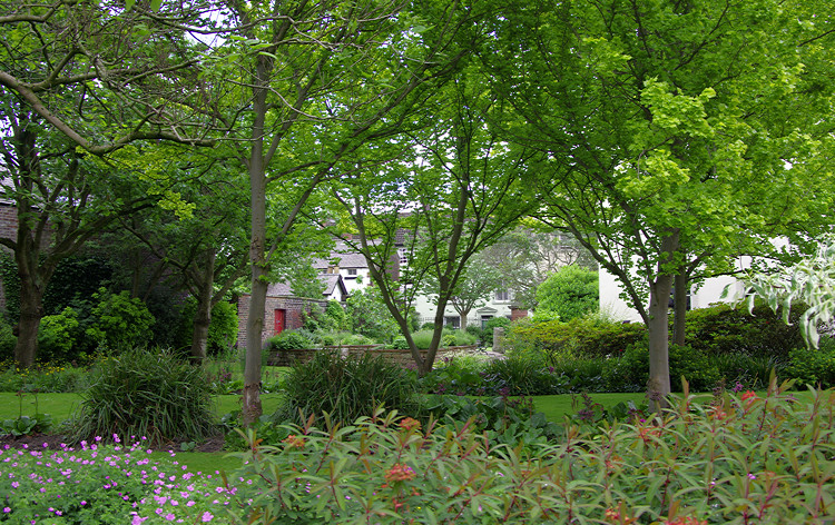 Tullie House Gardens