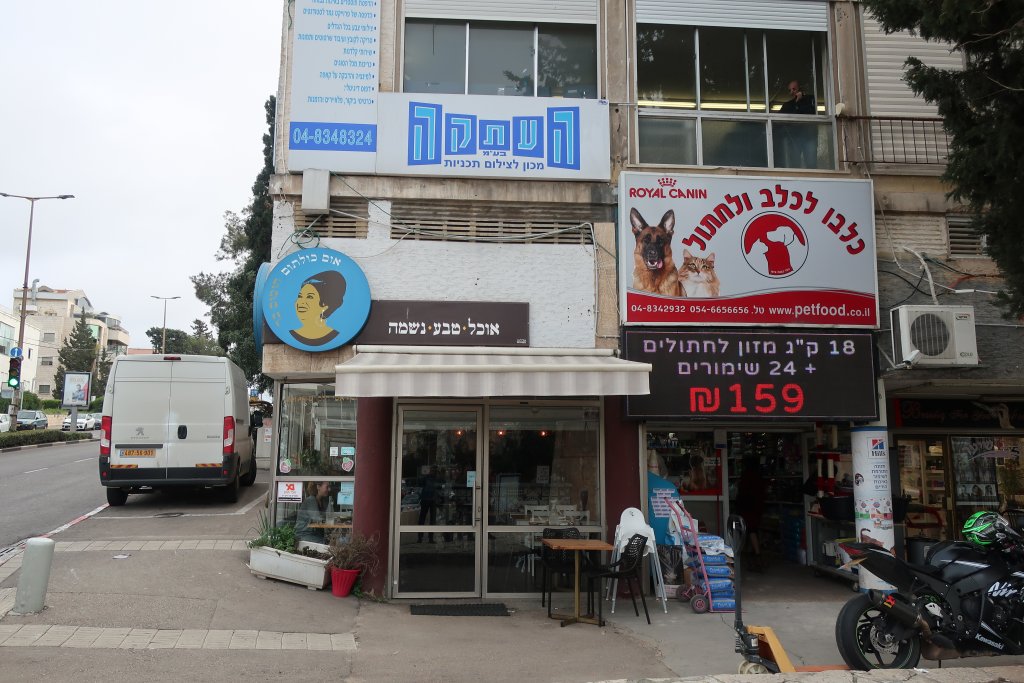 Umm Kulthum, Haifa