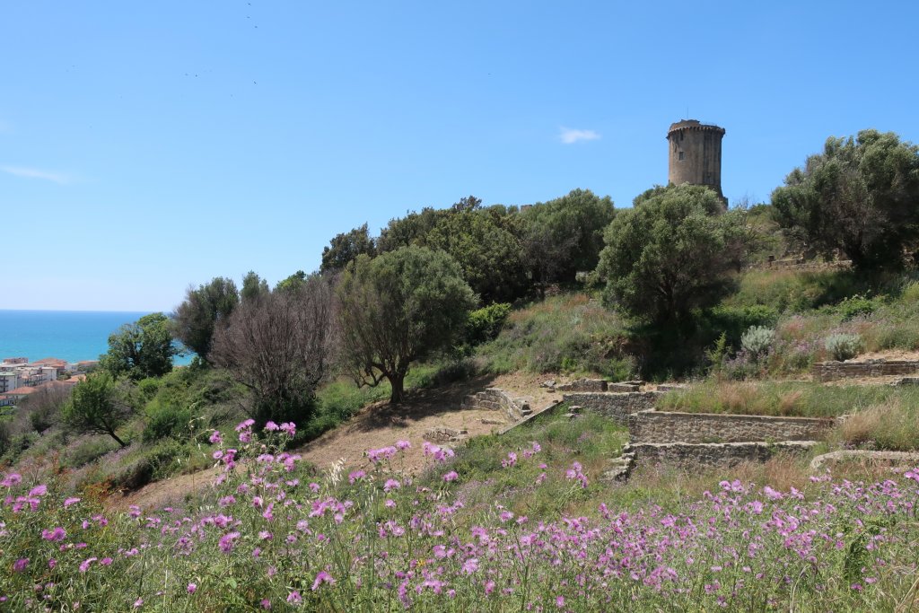 Velia Archaeology Site