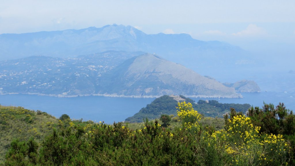 View from a side trail to the edge of the island