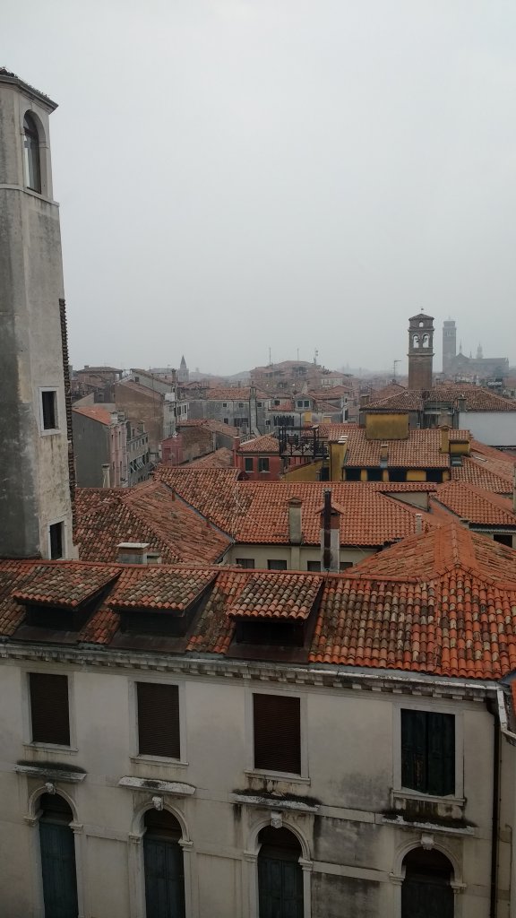 View from Ca'Pesaro