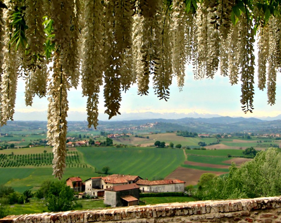 View from our "Casa La Vista", Villadeati (AL) Monferrato