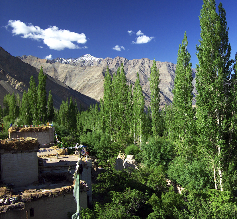 View from Shakti Village House, Nimoo