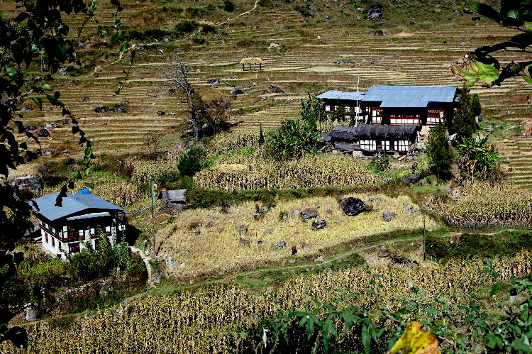 View from Trashi Yangtsi Dzong, Bhutan