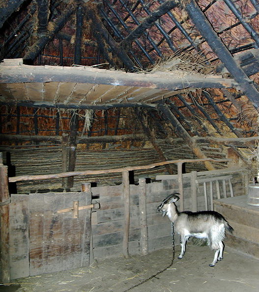 Village de l'An Mil - larger house's livestock area and loft