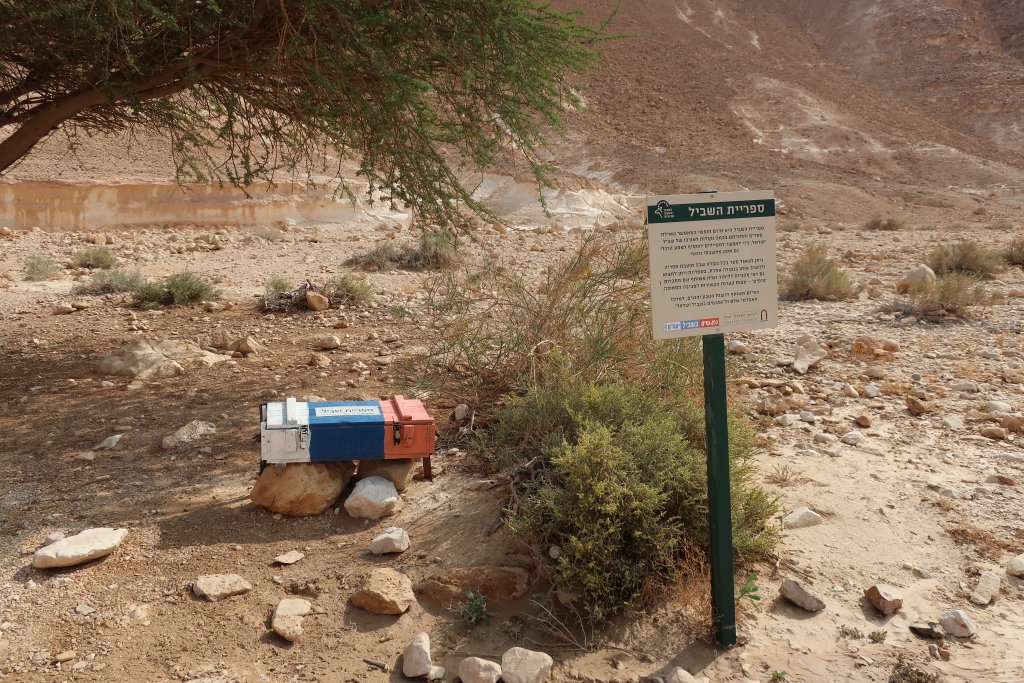 Wadi Barak Hike, Paran