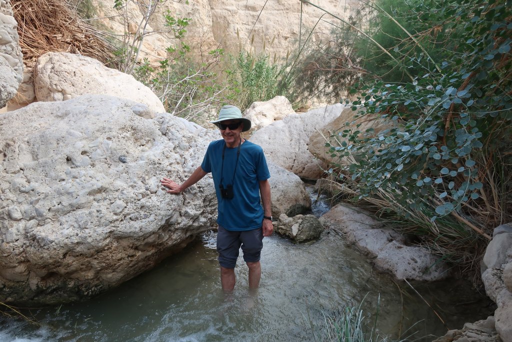 Wadi David, Ein Gedi