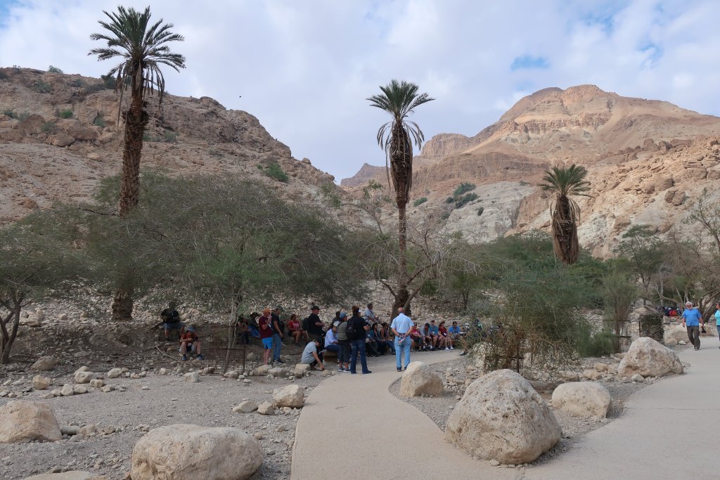 Wadi David, Ein Gedi