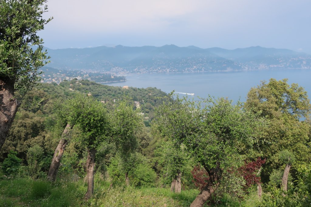 Walk: San Fruttuoso - Santa Margherita Ligure