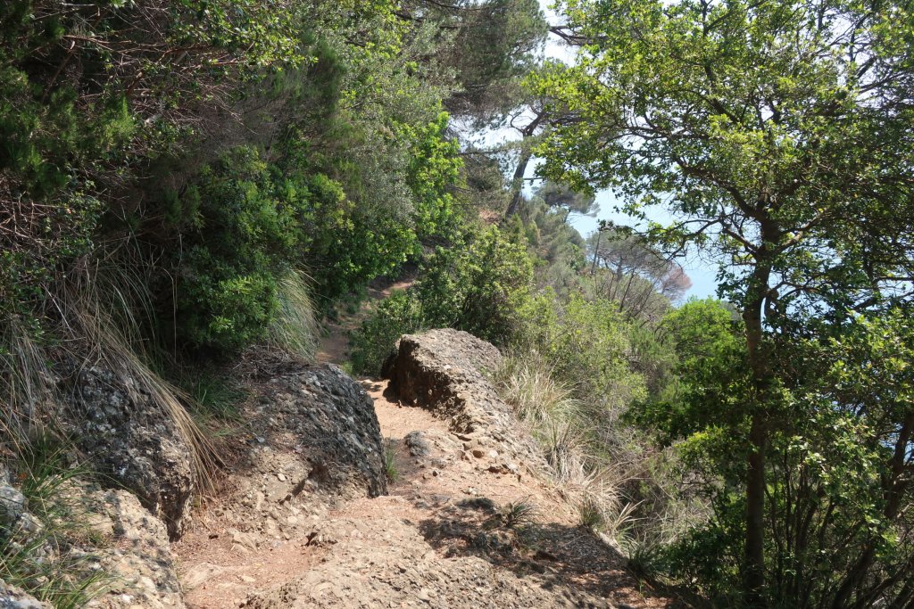 Walk: San Fruttuoso - Santa Margherita Ligure