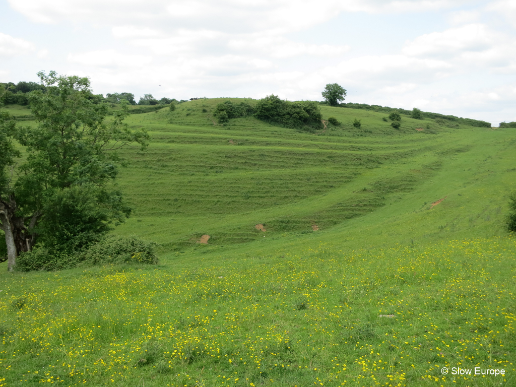 Walking the Cotswold Way - Day 13