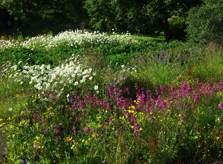 Wild Flower Bed In Botanic Gardens | Slow Europe Travel Forums